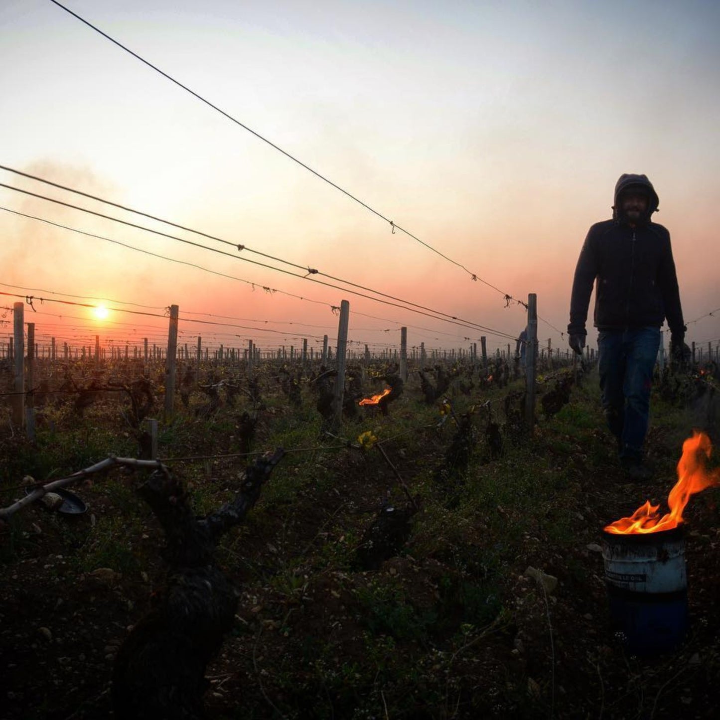 Benjamin Leroux Bourgogne Rouge 2022