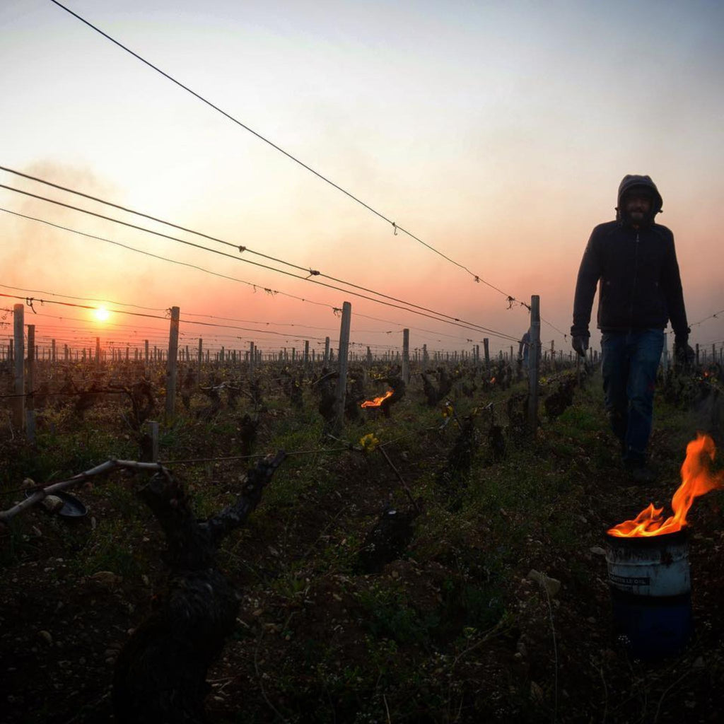 Benjamin Leroux Bourgogne Blanc 2022