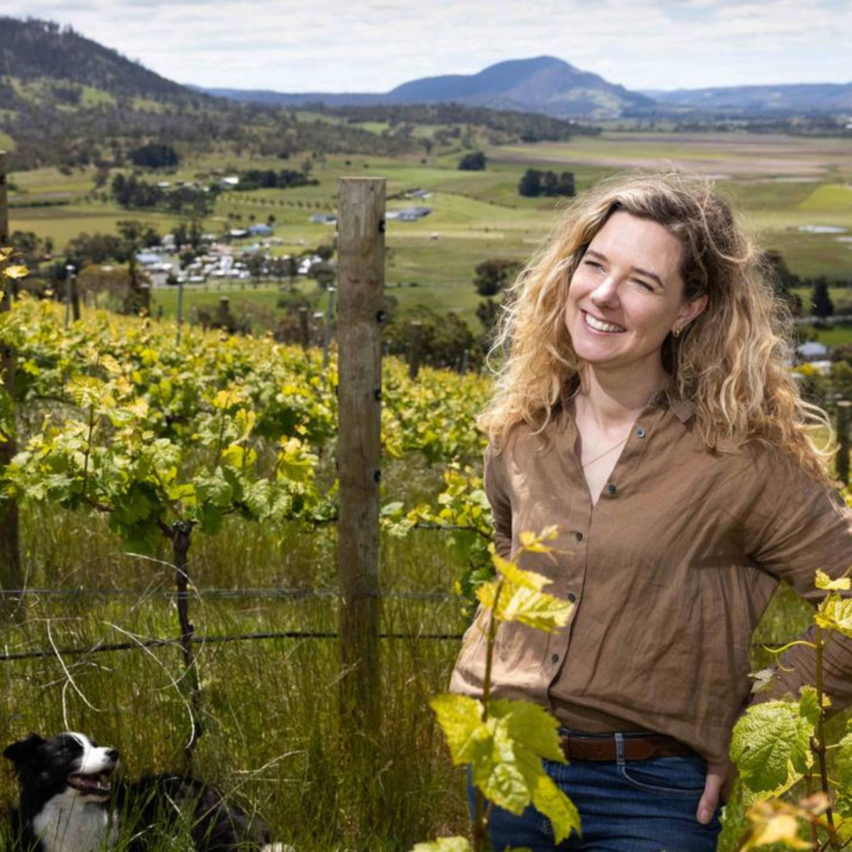 Pooley Syrah 2023