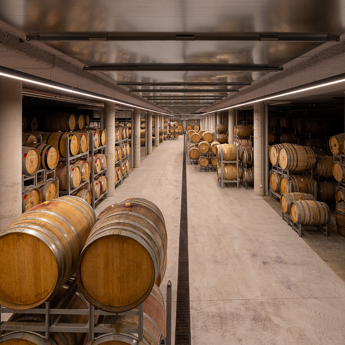 Levantine Hill Estate Syrah 2019