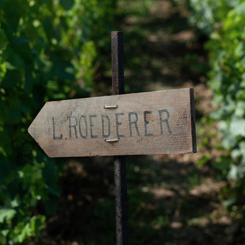 Louis Roederer Collection 243 NV 1.5L