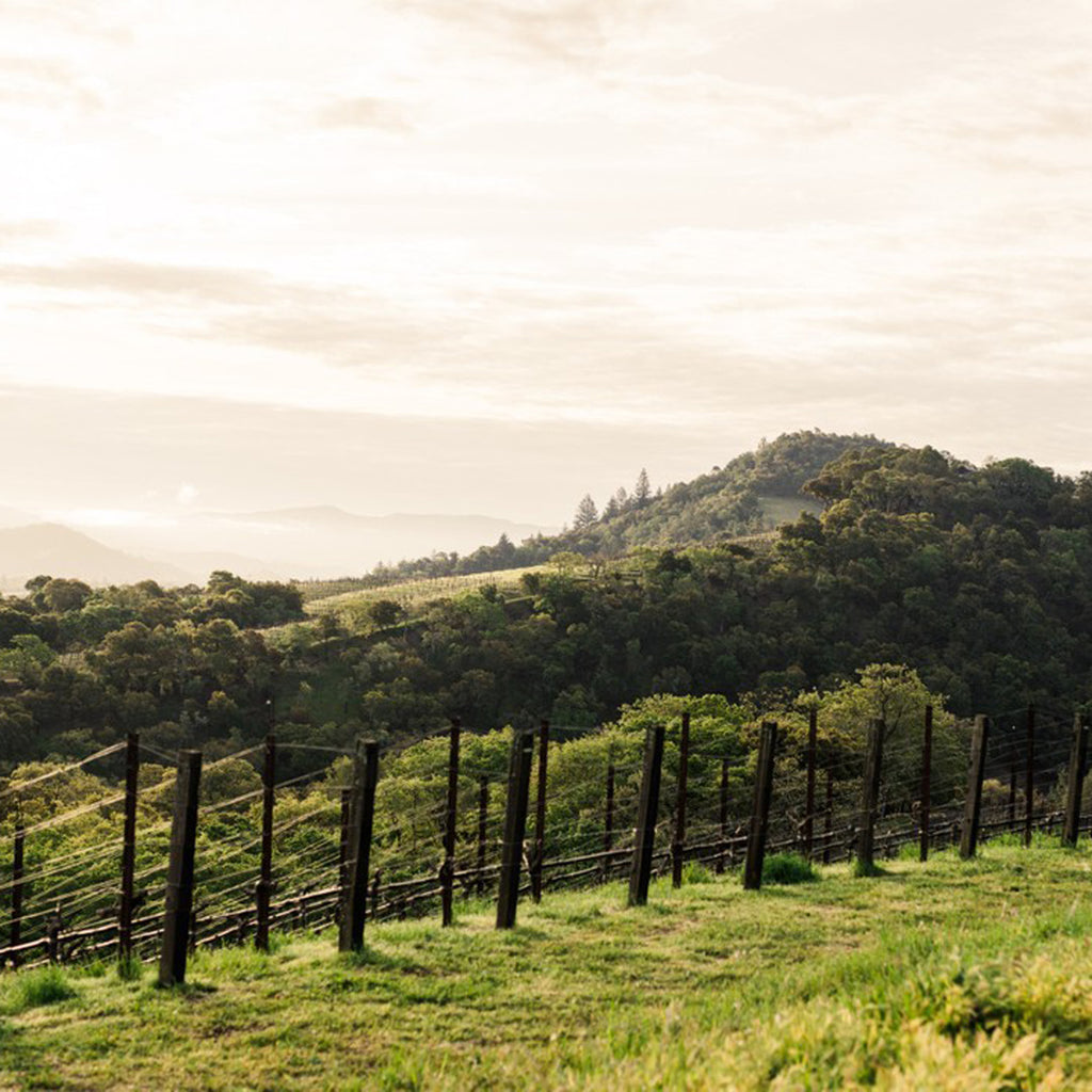 Harlan Estate 'The Mascot' Cabernet Sauvignon 2019