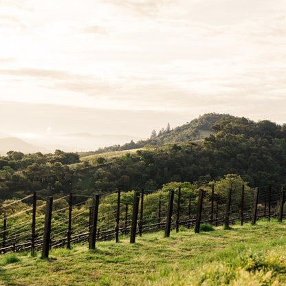 Harlan Estate 'The Mascot' Cabernet Sauvignon 2019