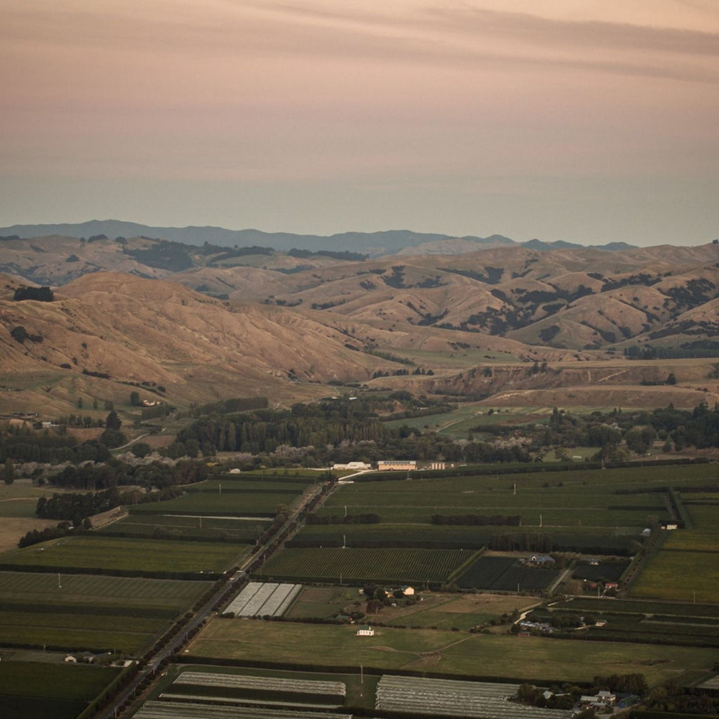 Te Kairanga Estate Pinot Noir 2022