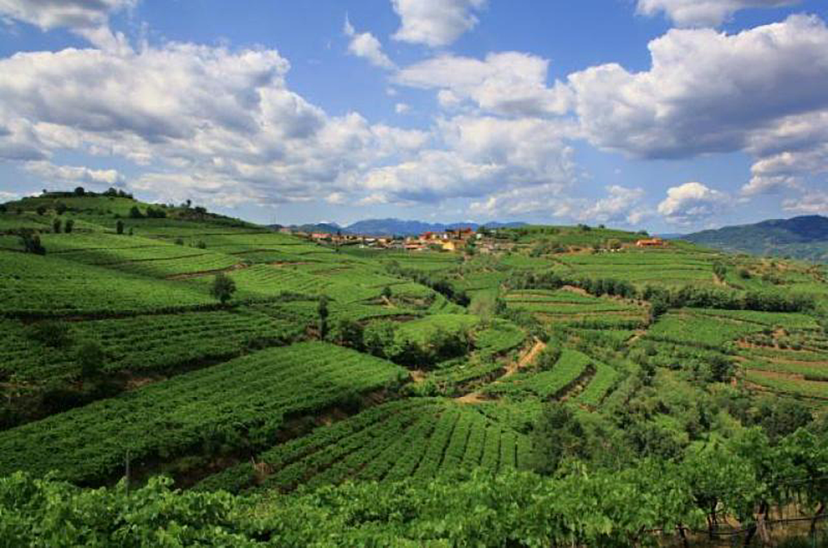 Suavia Monte Carbonare Soave Classico 2021