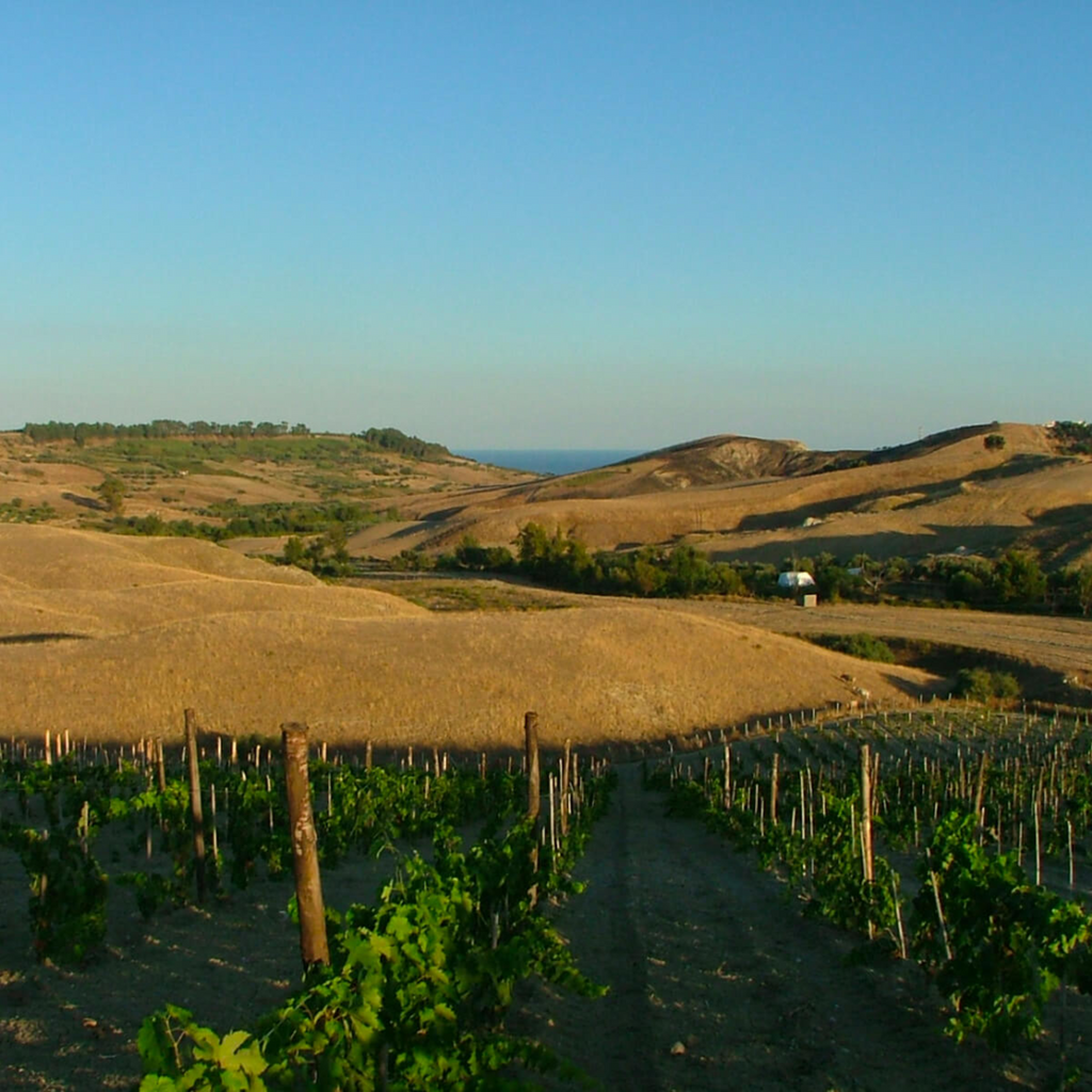 Cantine Lavorata Nero D'Avola 2023