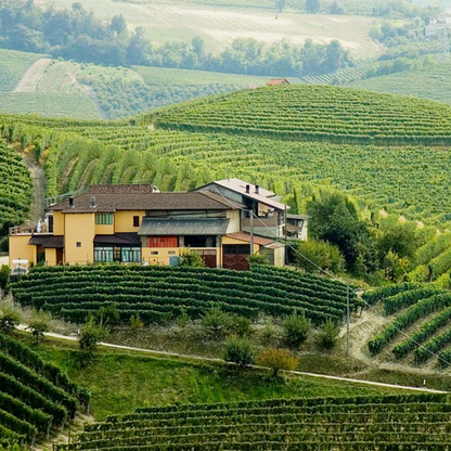 Pasquale Pelissero Simone Langhe Nebbiolo 2022