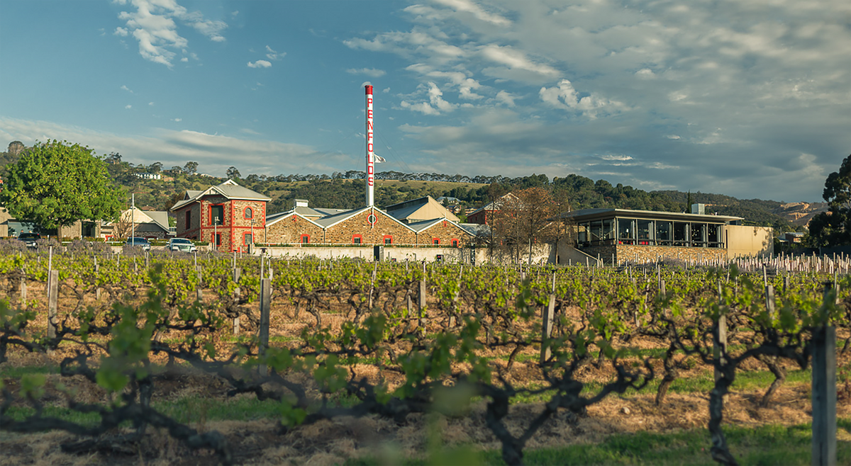Penfolds Bin 95 Grange Shiraz 2017