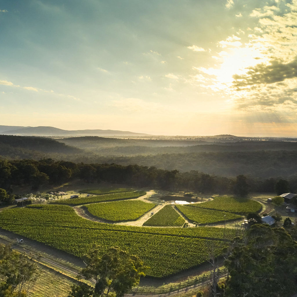 Place of Changing Winds Annus Horribilis Pinot Noir 2020