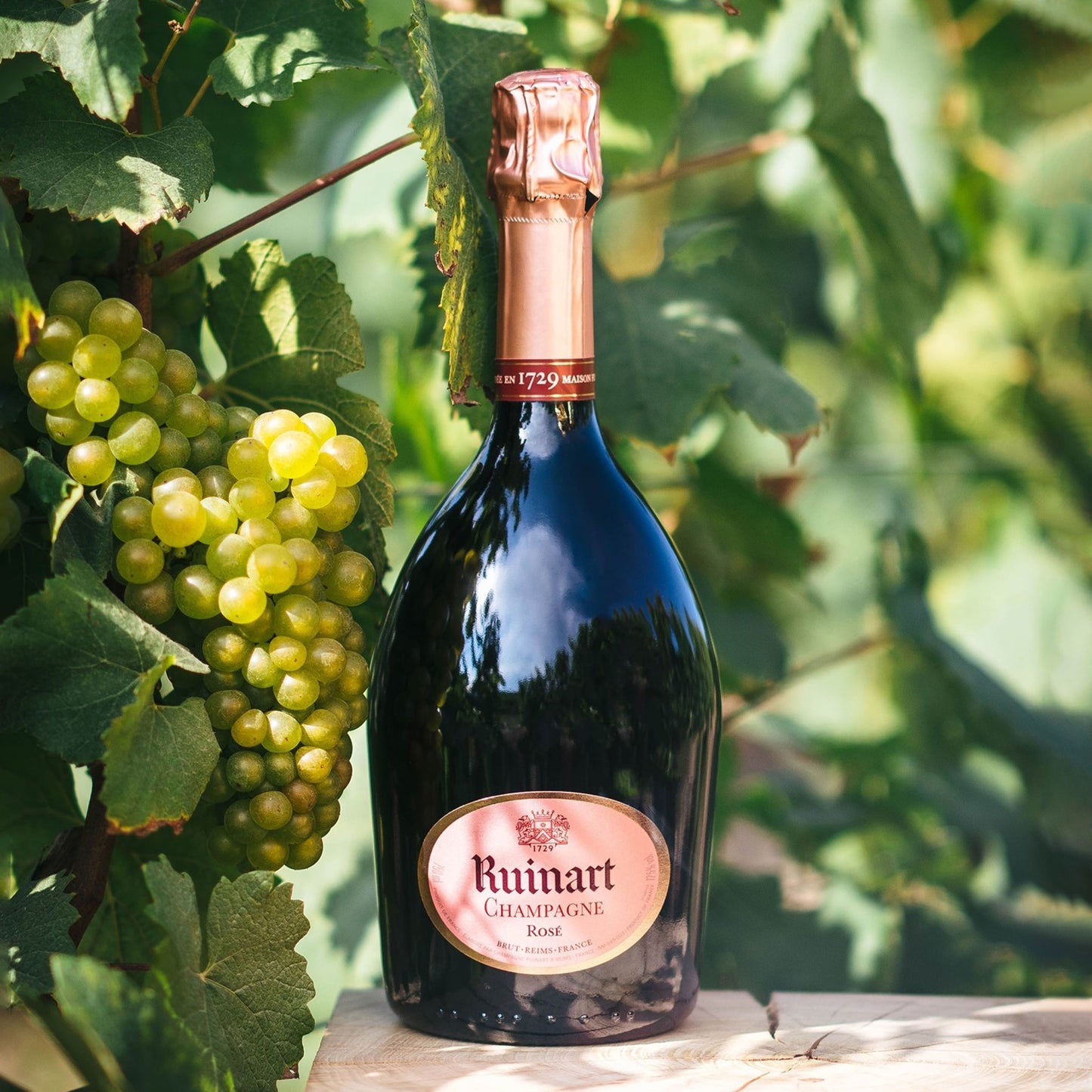 Ruinart Rosé NV