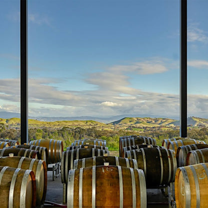 Savaterre Shiraz 2019