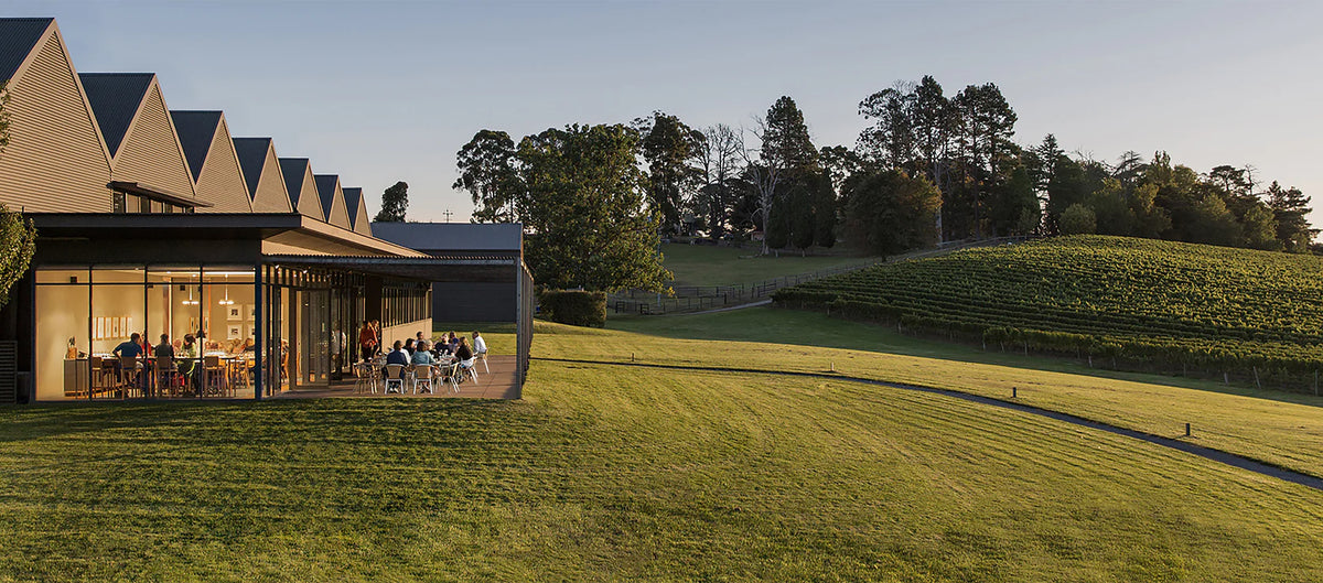 Shaw + Smith Balhannah Vineyard Shiraz 2020