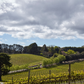 Shaw + Smith Riesling 2022