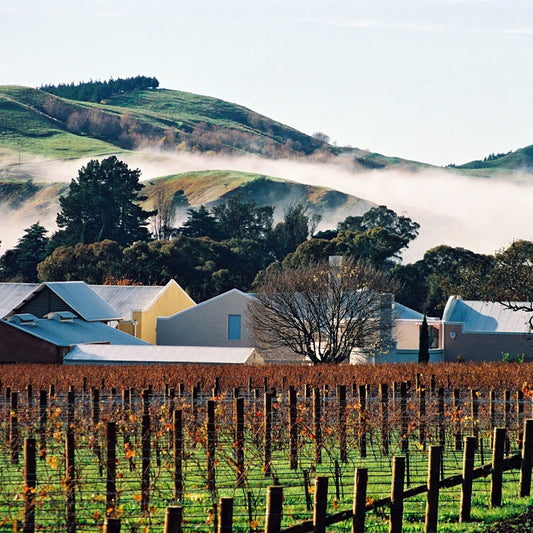 Te Mata Coleraine Cabernet Merlot 2022