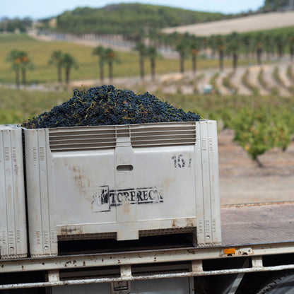 Torbreck Runrig Shiraz Viognier 2021