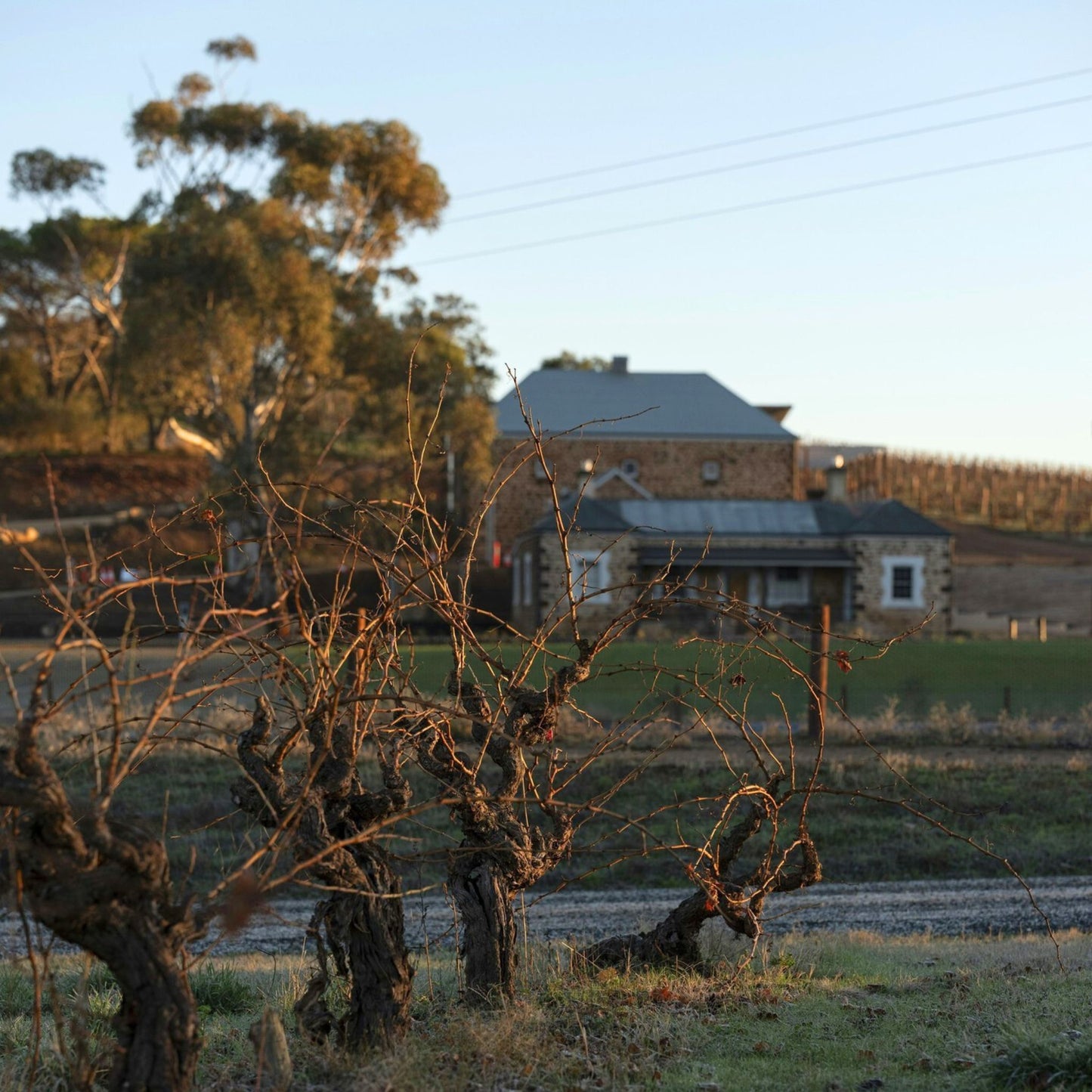 Torbreck The Steading 2022