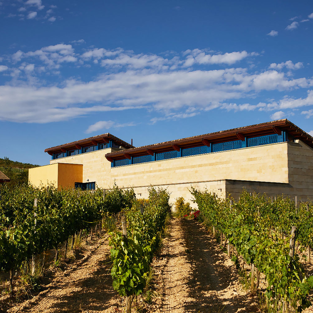 Valenciso Rioja Laderas De Cabama 2021