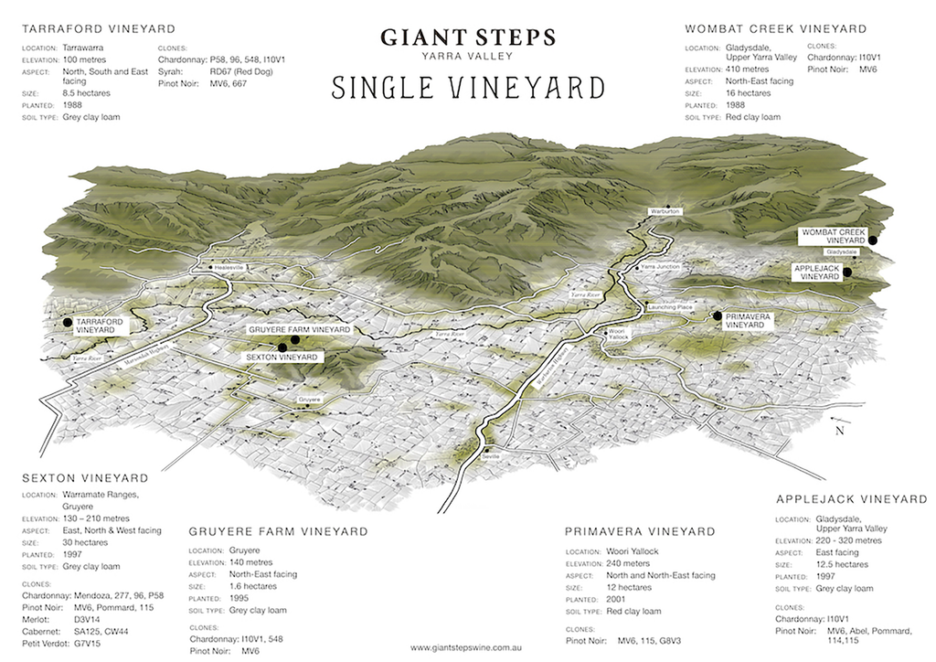 Giant Steps Clay Ferment Ocarina Chardonnay 2021