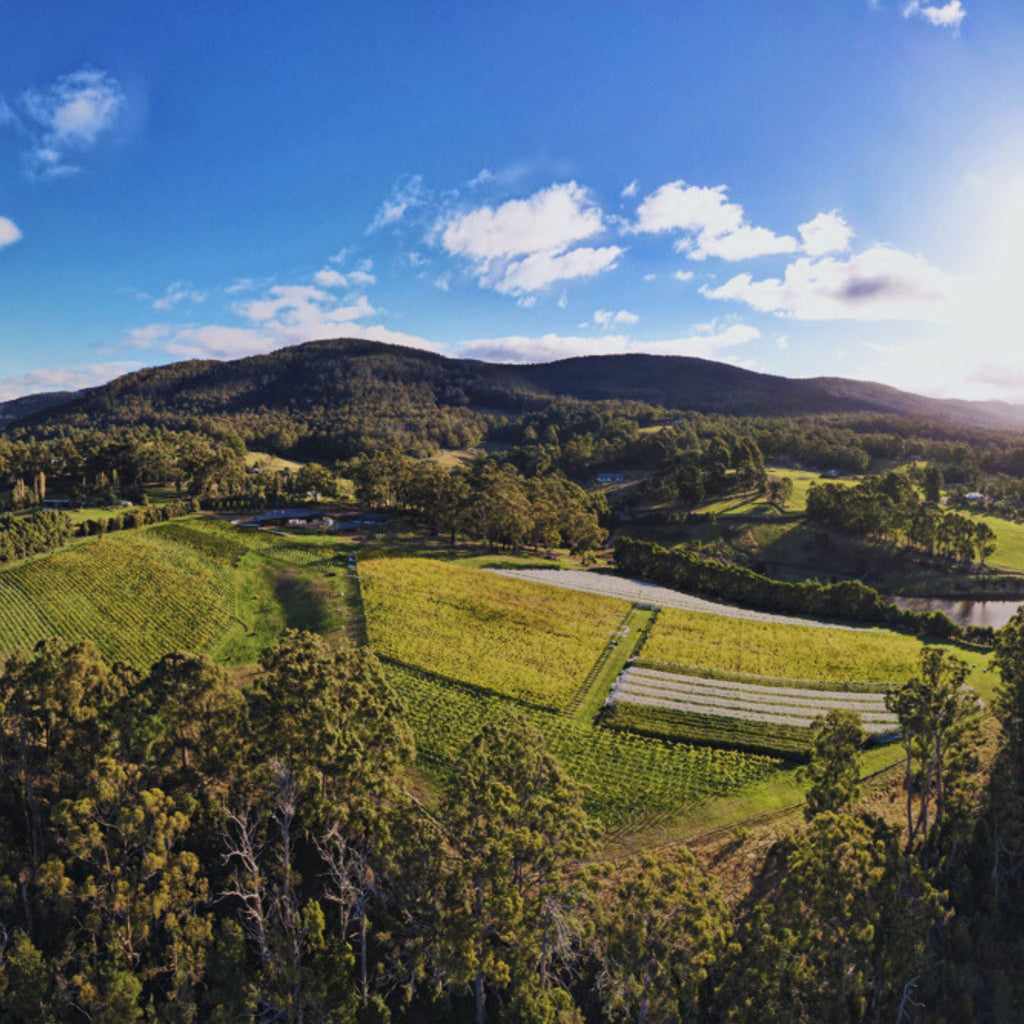 Hughes & Hughes Pinot Noir 2023