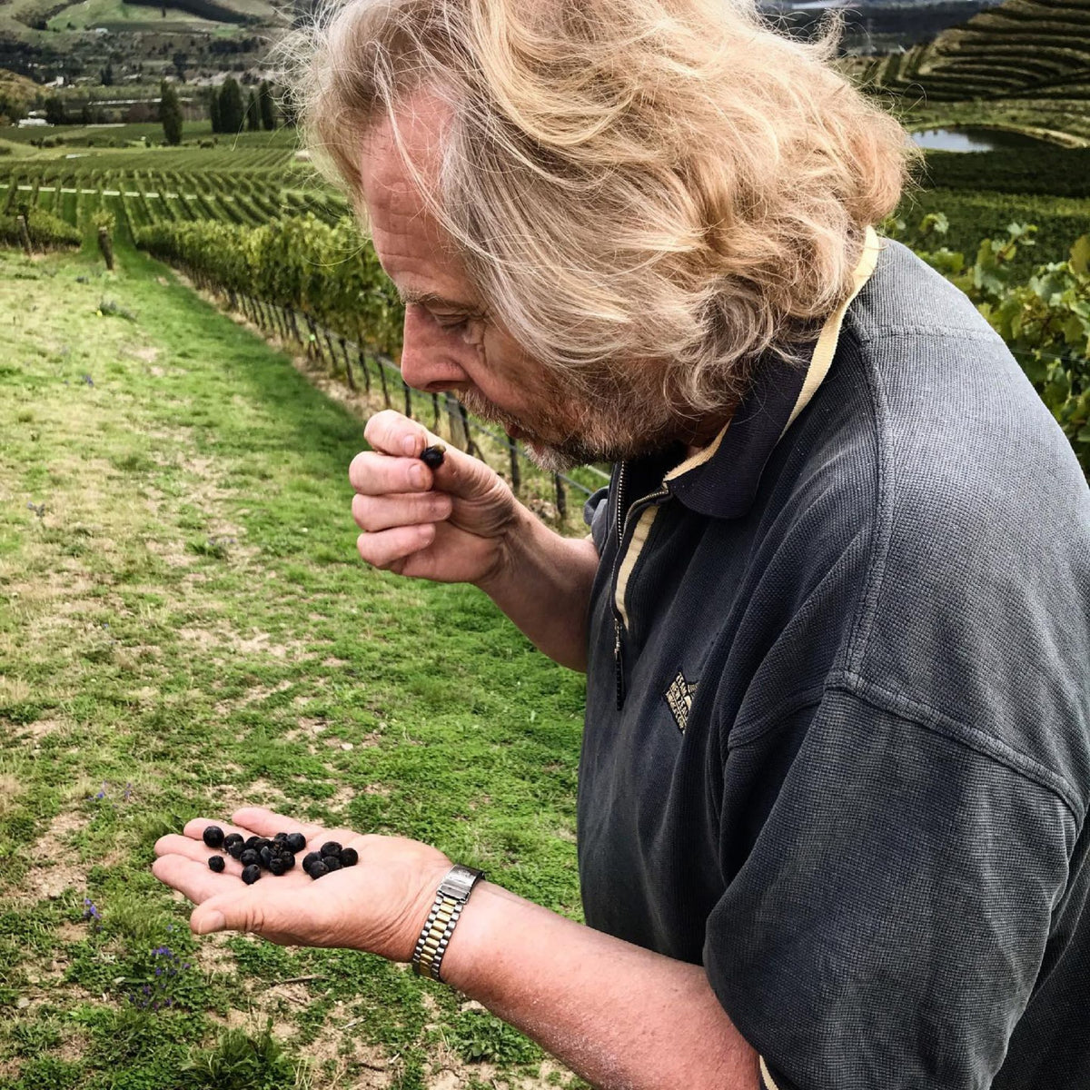 Felton Road Bannockburn Pinot Noir 2023