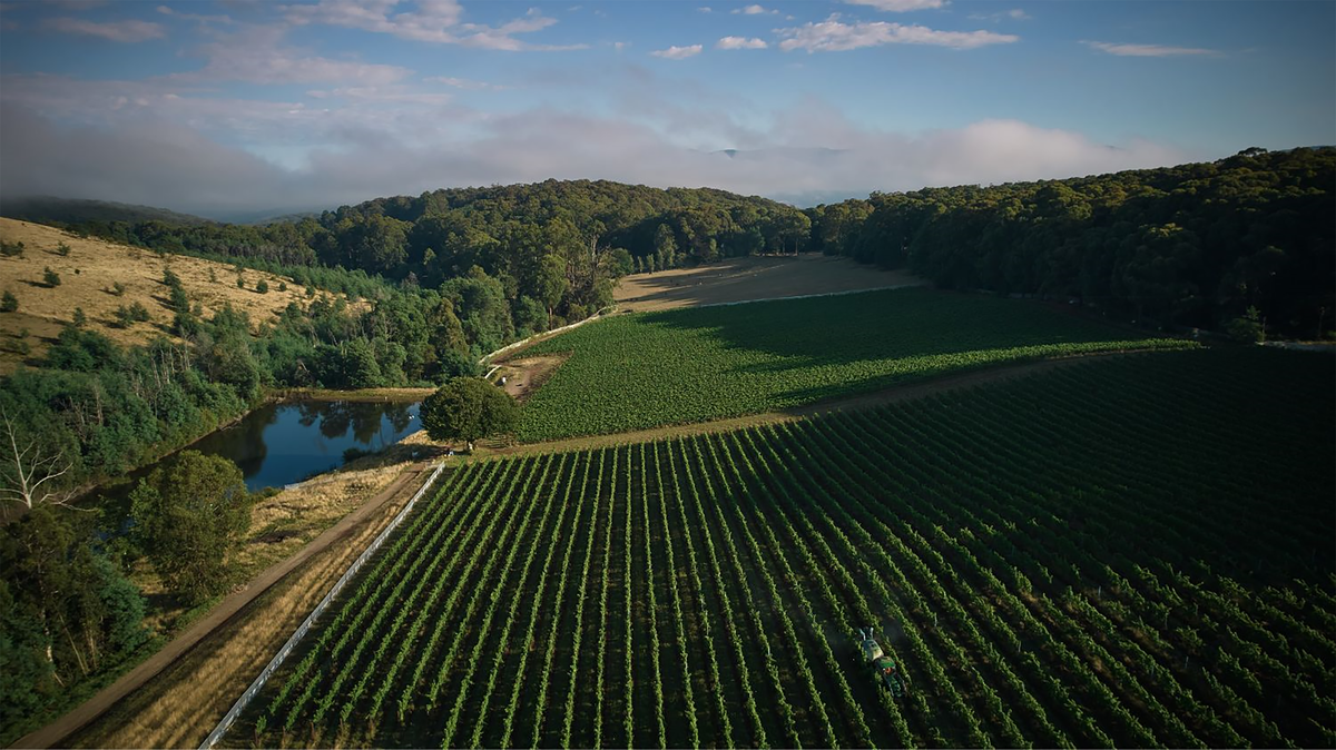 Giant Steps Wombat Creek Vineyard Chardonnay 2022