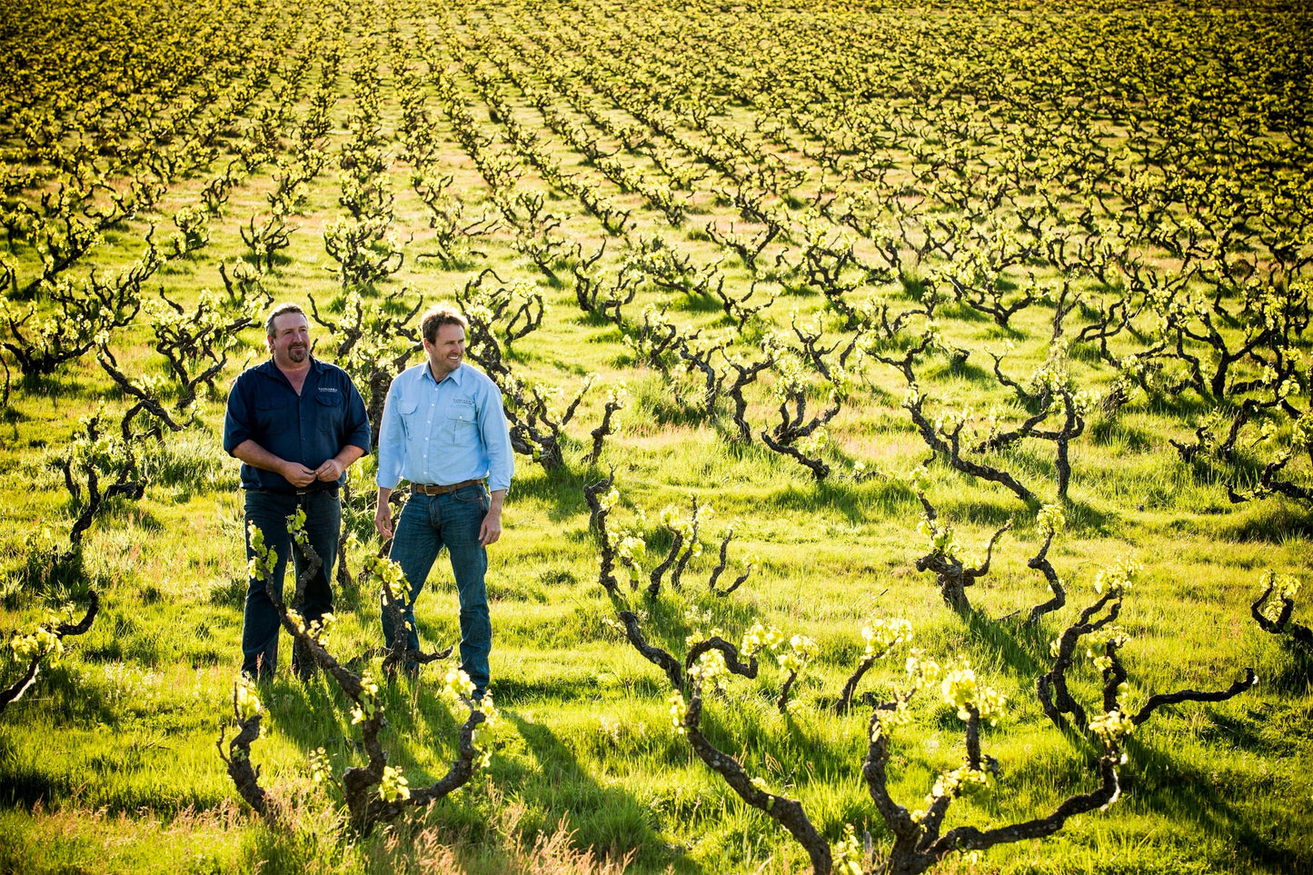 Yangarra Estate Preservative Free Shiraz 2022