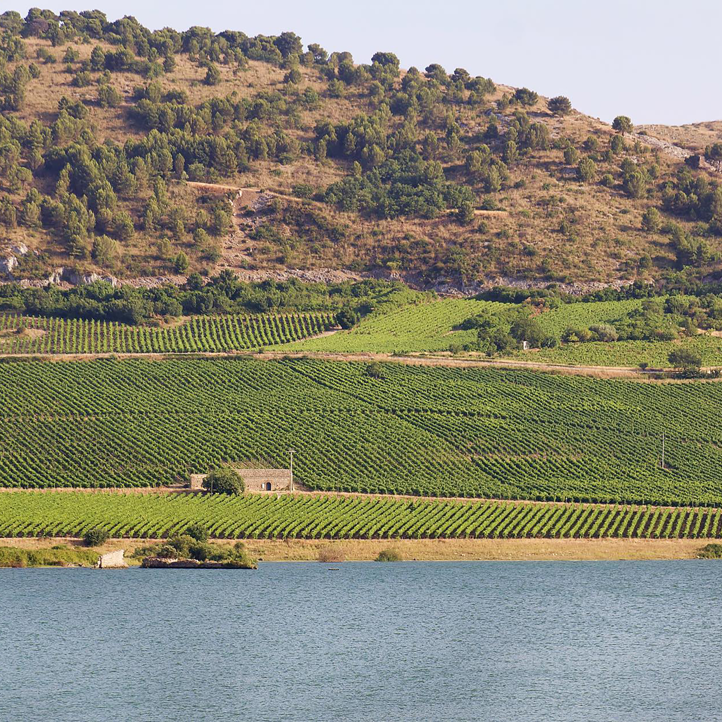 Babo Nero d'Avola 2020