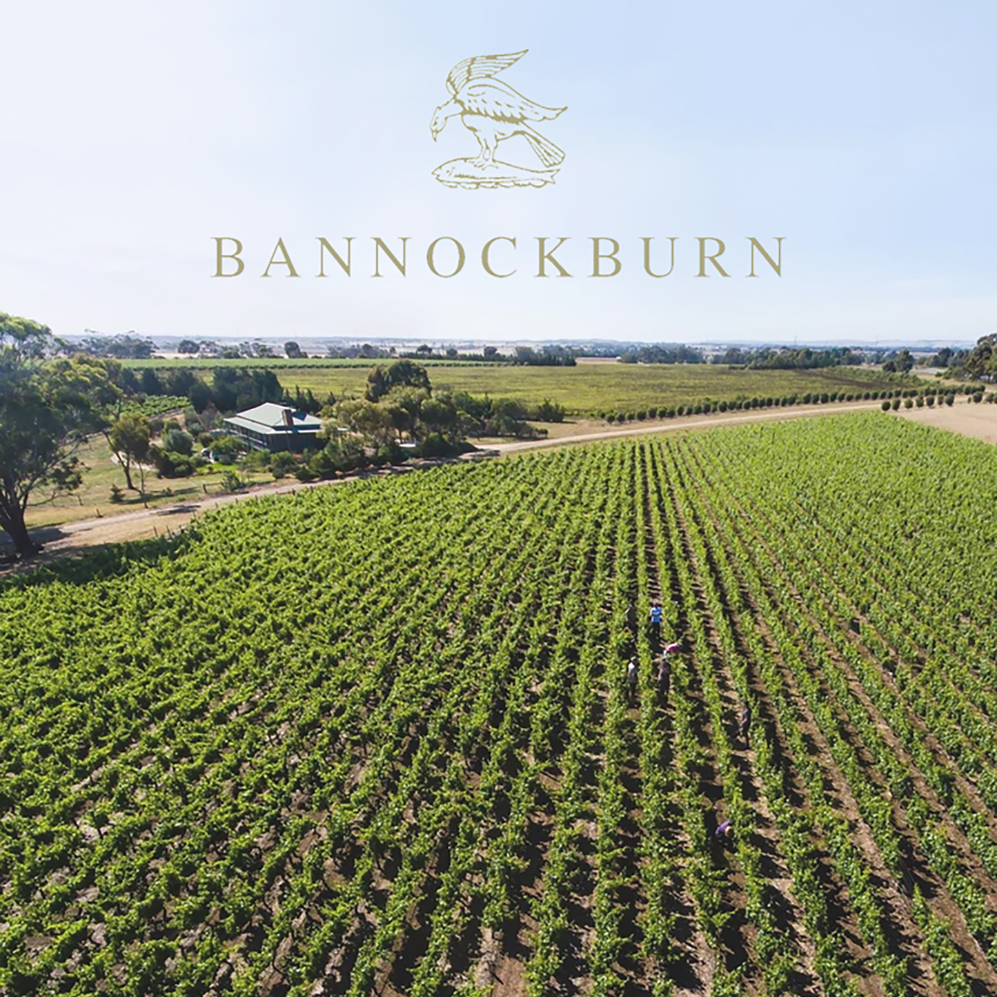 Bannockburn Riesling 2021