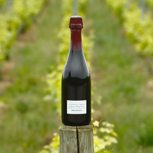Bollinger La Côte aux Enfants Pinot Noir 2016