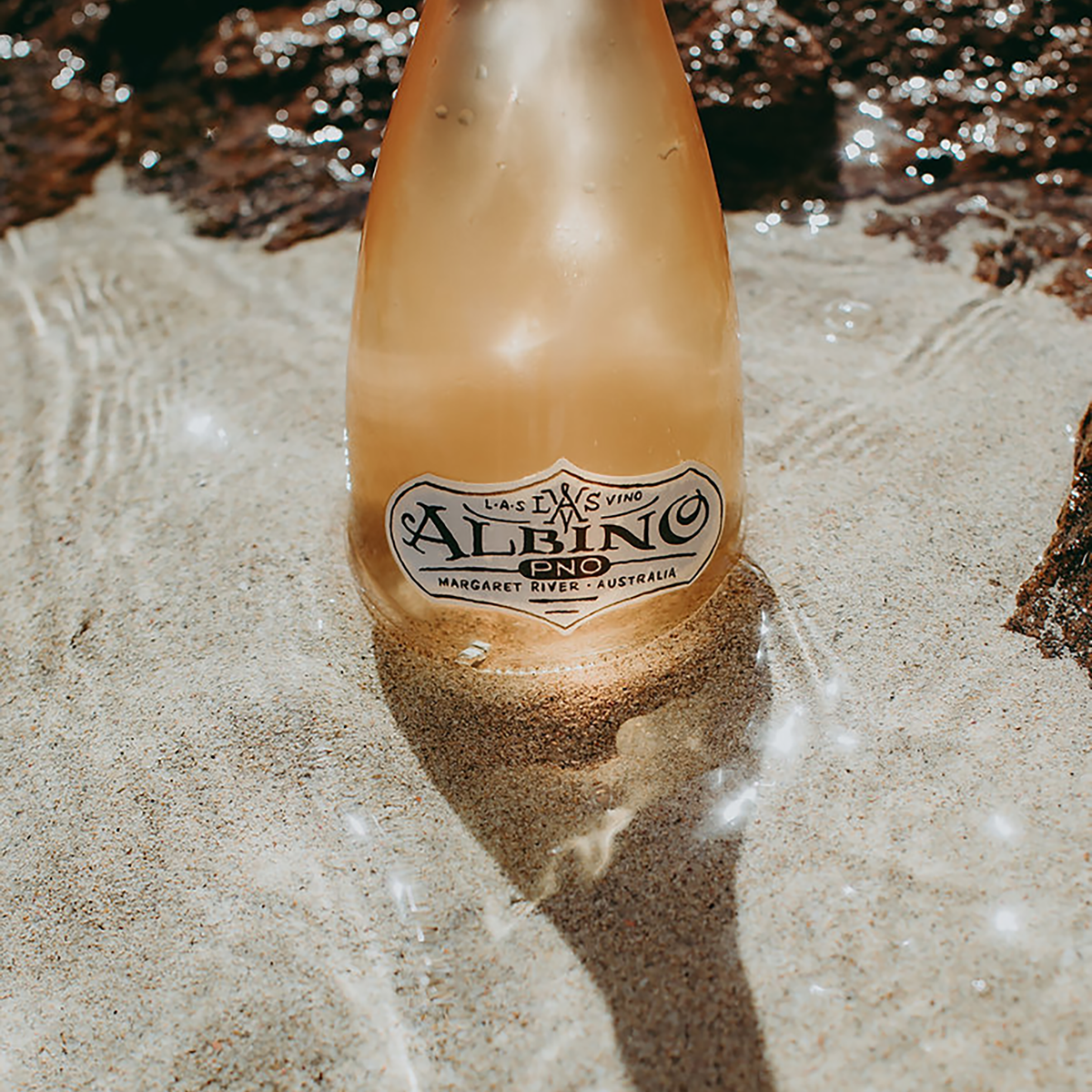 L.A.S. Vino Albino PNO 2021