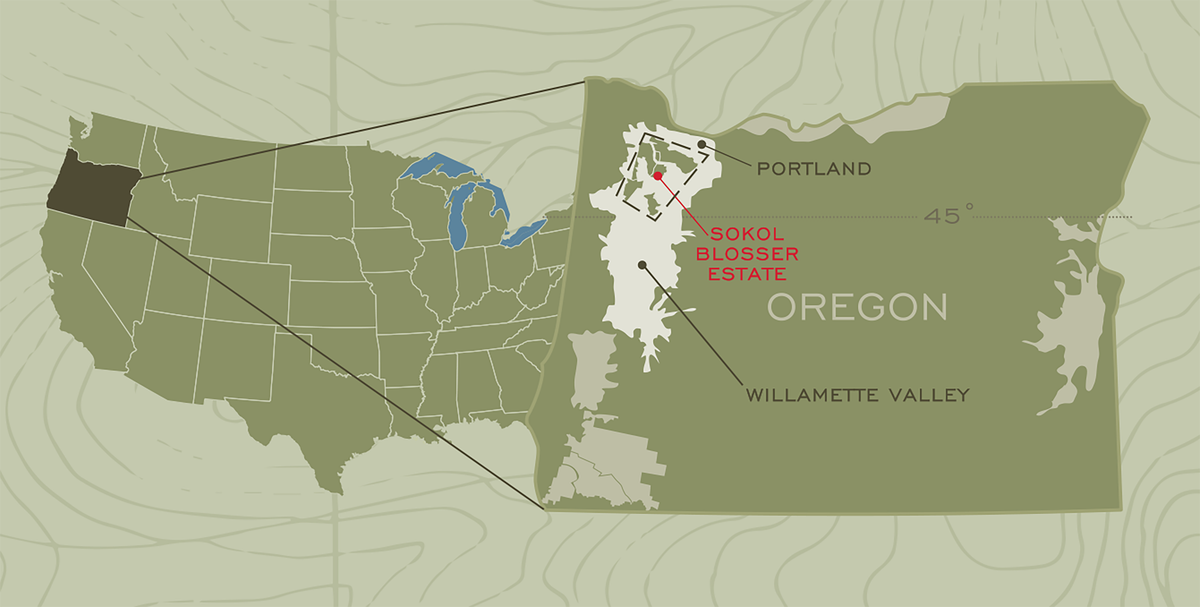 Sokol Blosser Willamette Valley Estate Pinot Gris 2019