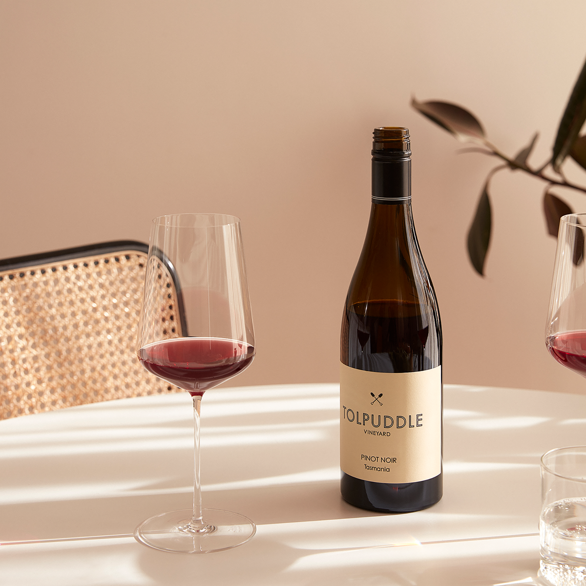 Tolpuddle Pinot Noir 2021